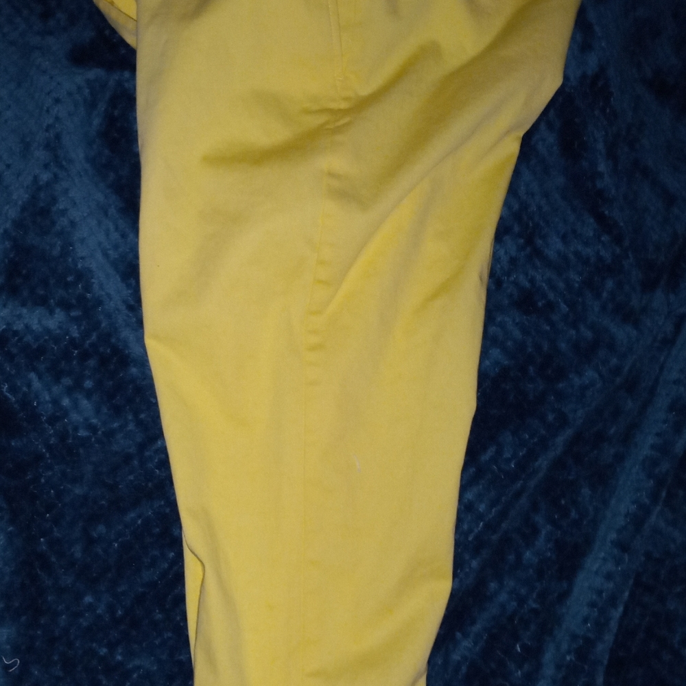 Kim Roger's Capris